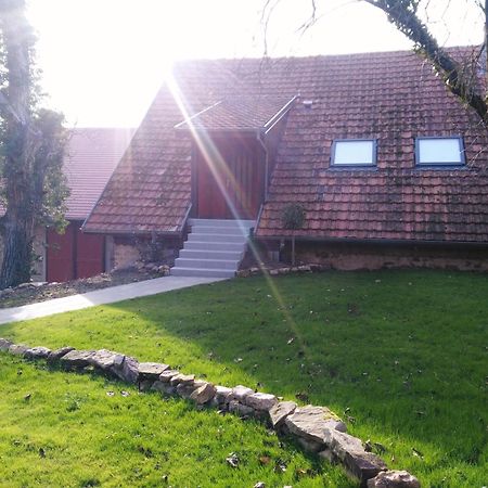 Joli Gite F2 Independant Avec Jardin Prive Rouffach Exteriör bild
