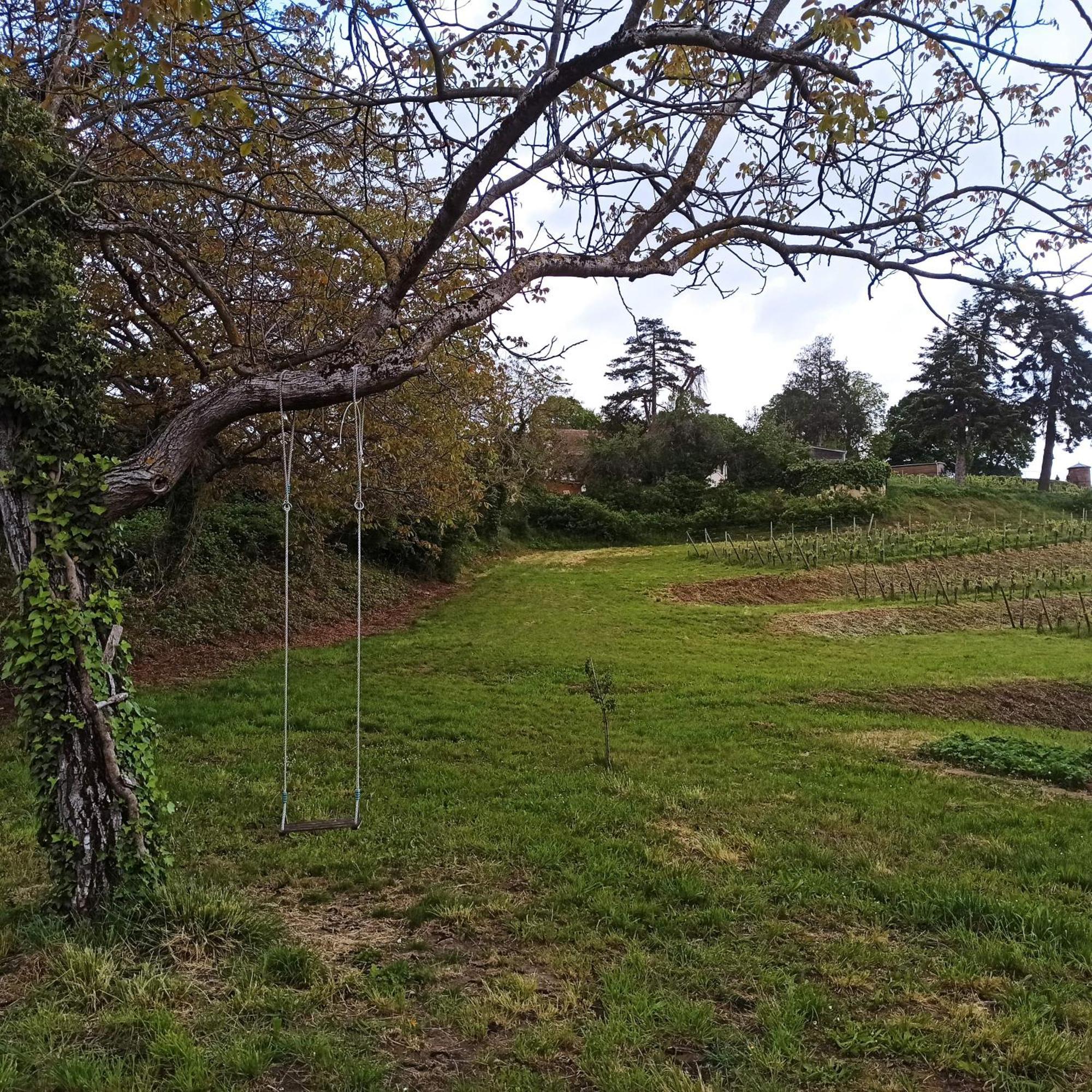 Joli Gite F2 Independant Avec Jardin Prive Rouffach Exteriör bild